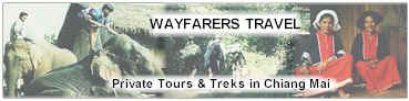 Wayfarers Travel